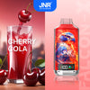 JNR Falcon X 18000 Puffs Disposable Vape (Doos van 10)