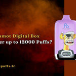 Hoe levert Fumot Digital Box 12000 tot 12000 Puffs op?