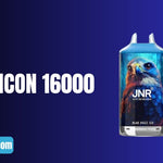 Stapsgewijze Handleiding Voor het Effectief Gebruiken van de JNR Falcon 16000