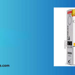 Waarom Starbuzz aan populariteit wint in 2026?